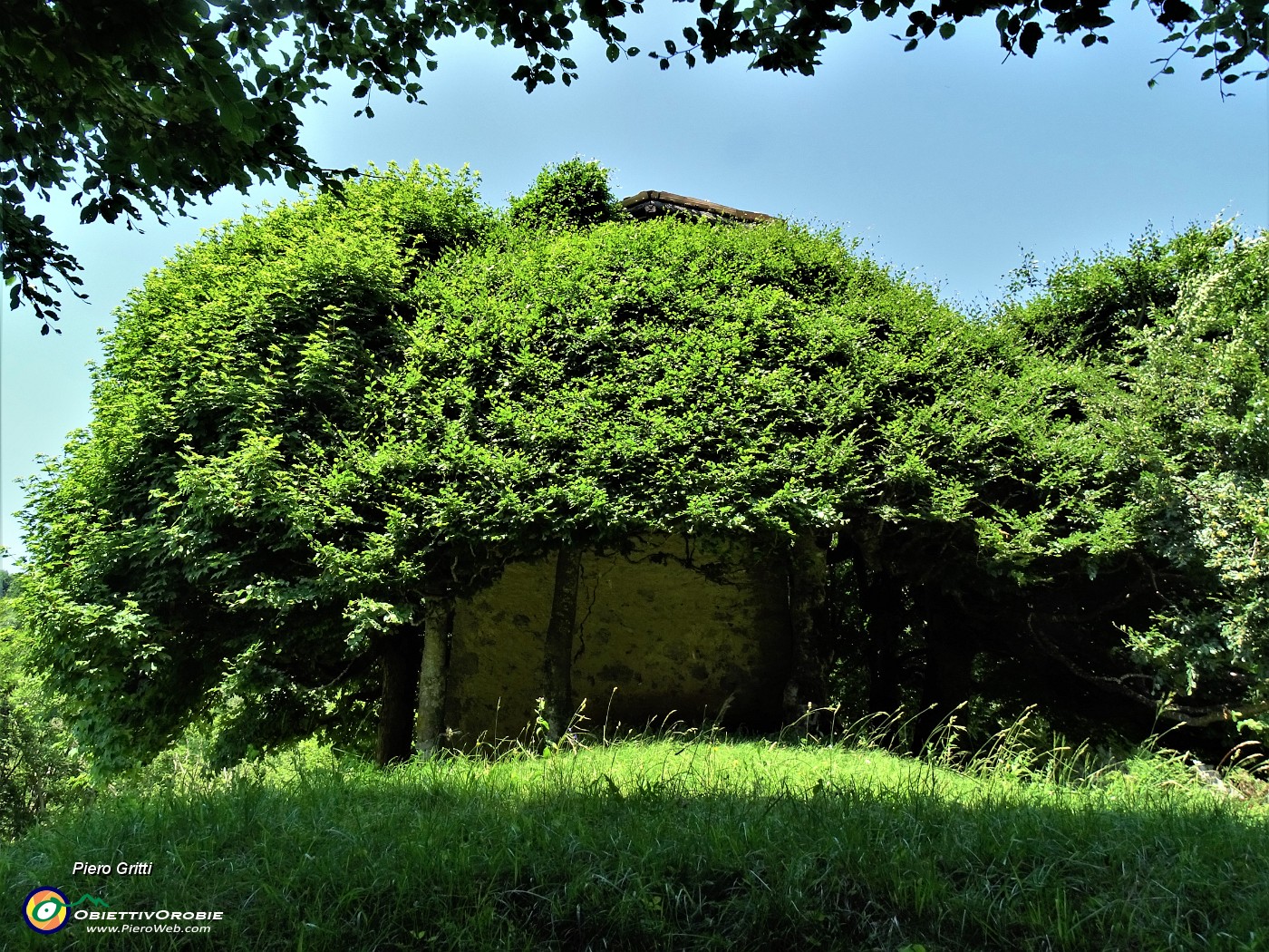 60 Il Roccolo Spadi avvolto nel verde.JPG